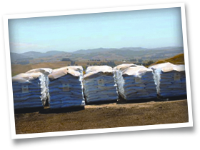 bagging services