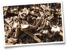 tiny timber